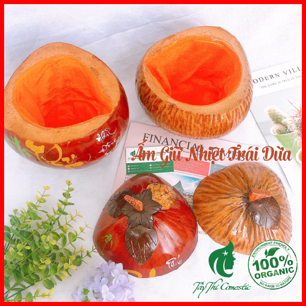 [HCM]Ấm Giữ Nhiệt Trái Dừa