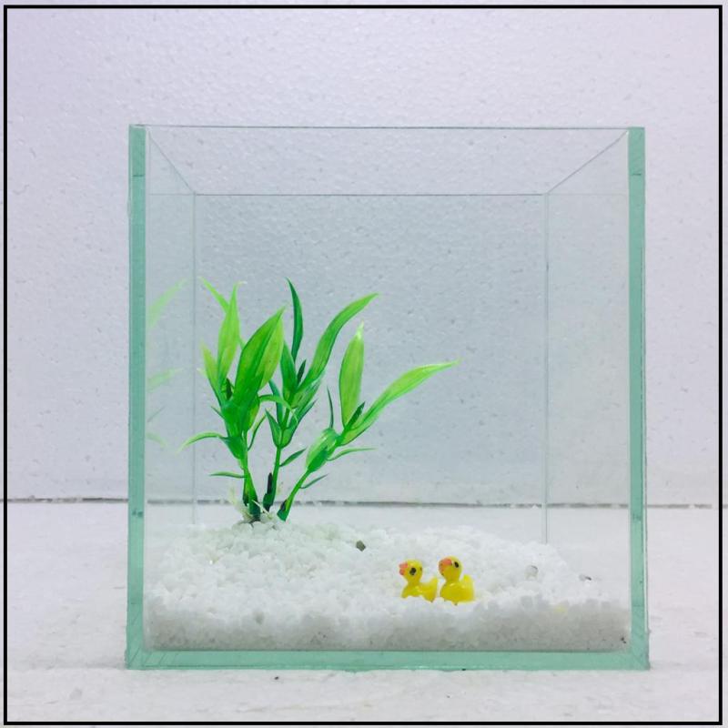 Bể cá mini để bàn 15cm - Tặng phụ kiện