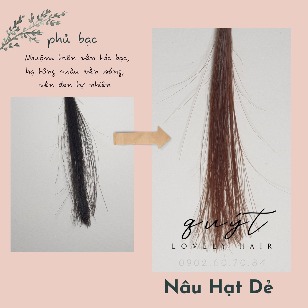 Thuốc nhuộm tóc màu NÂU HẠT DẺ TRẦM PHỦ BẠC- TẶNG OXY
