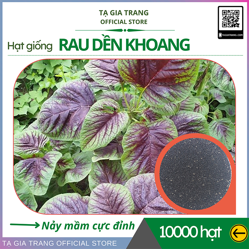 Hạt giống rau dền khoang cao sản - Shop hạt giống Tạ Gia Trang
