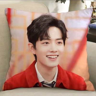 Gối ôm tiêu chiến xiao zhan 35*35cm
