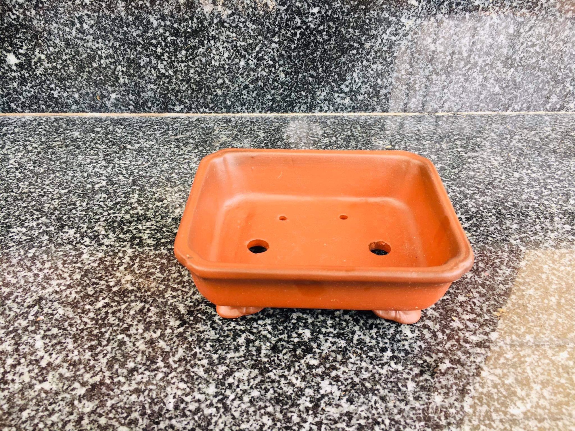 Chậu chữ nhật múi mini