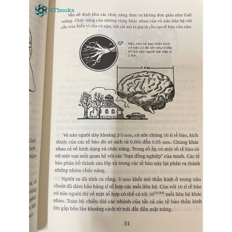 Sách Tâm Lý Học Kỳ Thú - NTbooks