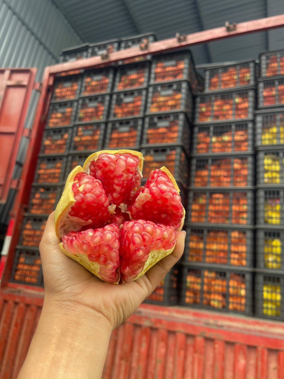 VG FARM Lựu ép nước - mọng nước, ngọt lịm (500G/1KG)