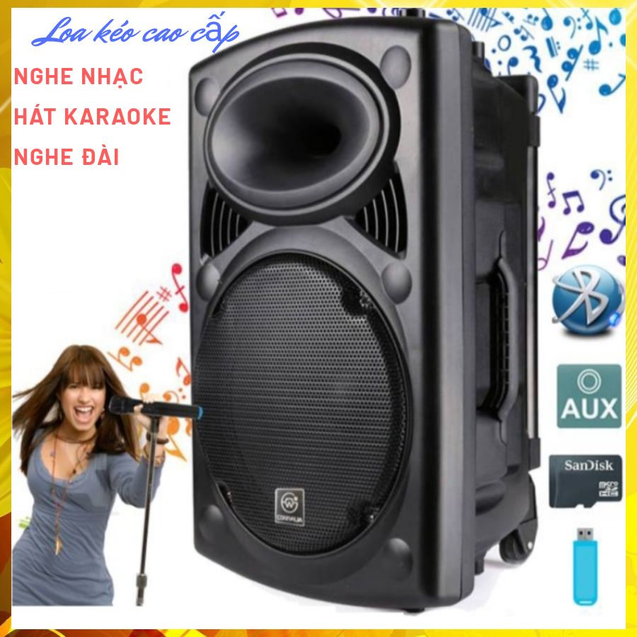 loa kéo karaoke bass 30+3 mic