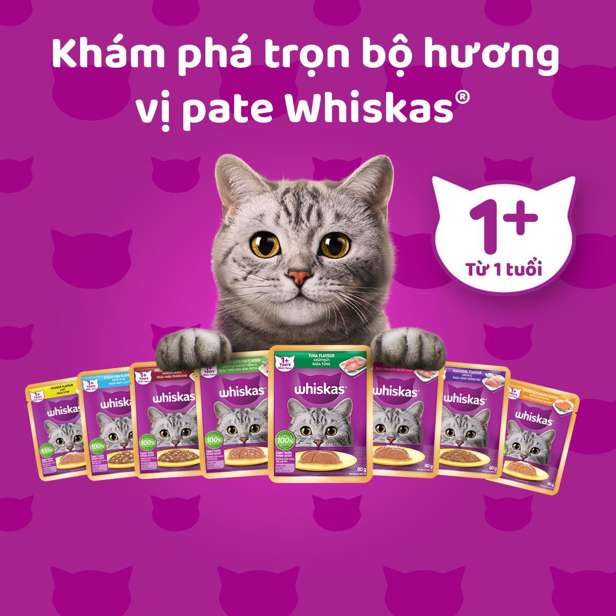 WHISKAS® Thức ăn cho mèo lớn dạng sốt (pate mèo) vị cá 80g (14 gói)