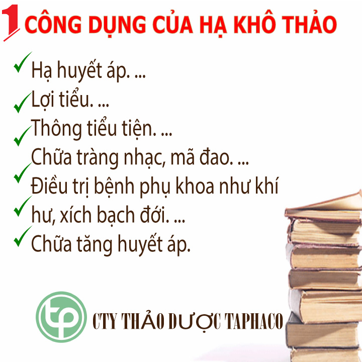 [HOT] Hạ khô thảo khô 1kg - Hàng sạch thơm cao cấp - Thảo Dược Tấn Phát