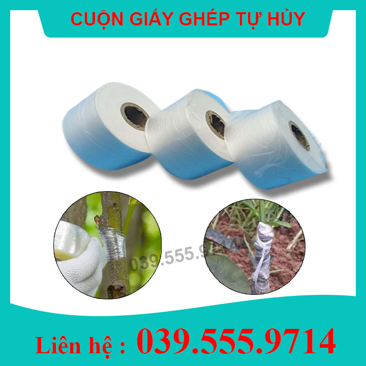 Combo 3 Giấy Ghép Cây Tự Hủy khổ rộng 3cm giúp bảo vệ mối ghép