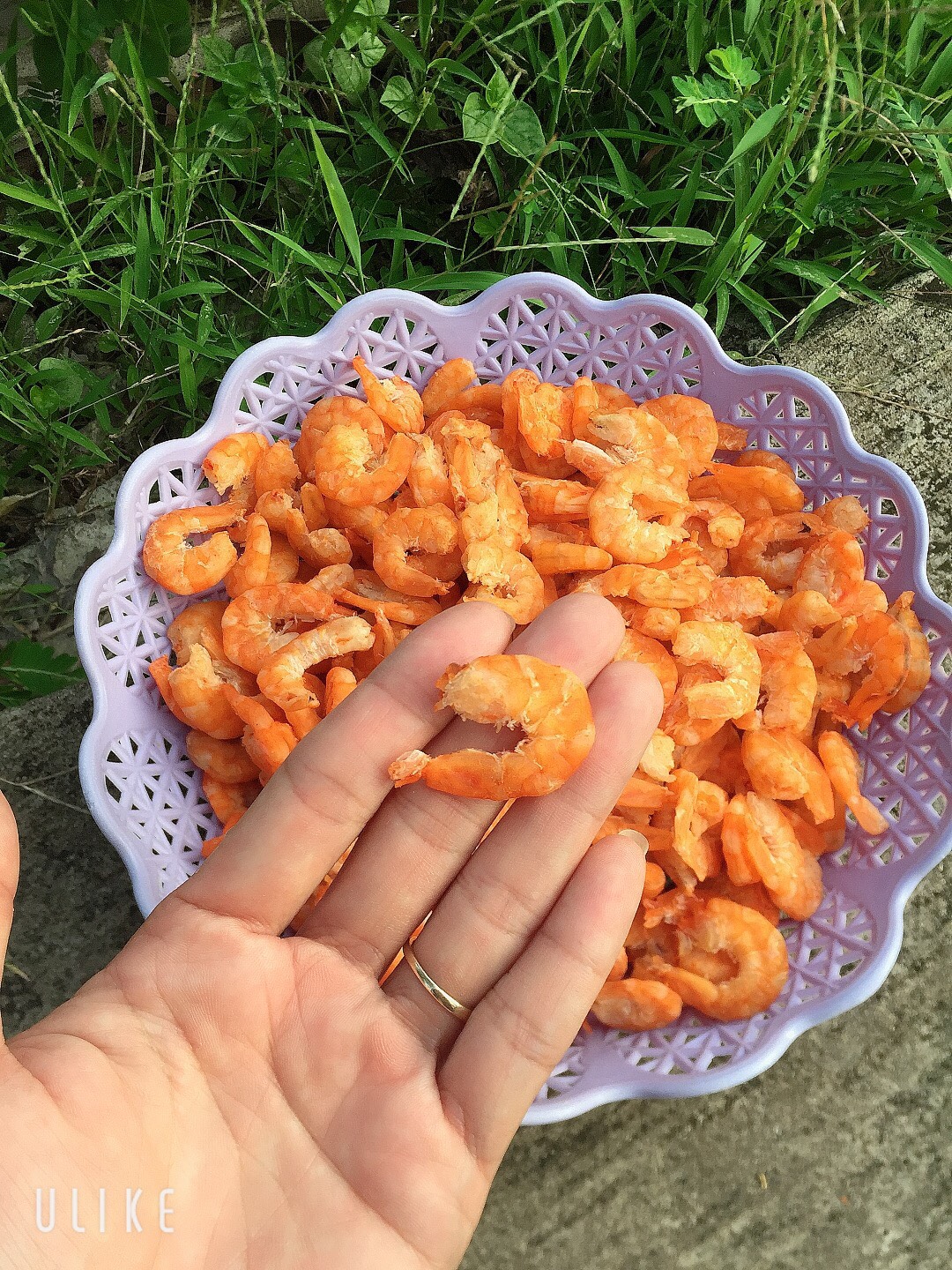 Tôm khô thẻ (tôm bự làm quà biếu)