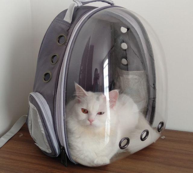 [Hoàn Tiền 10%] [ Xả Kho ] Balo Phi Hành Gia trong suốt , Balo cho chó mèo vận chuyển thú cưng