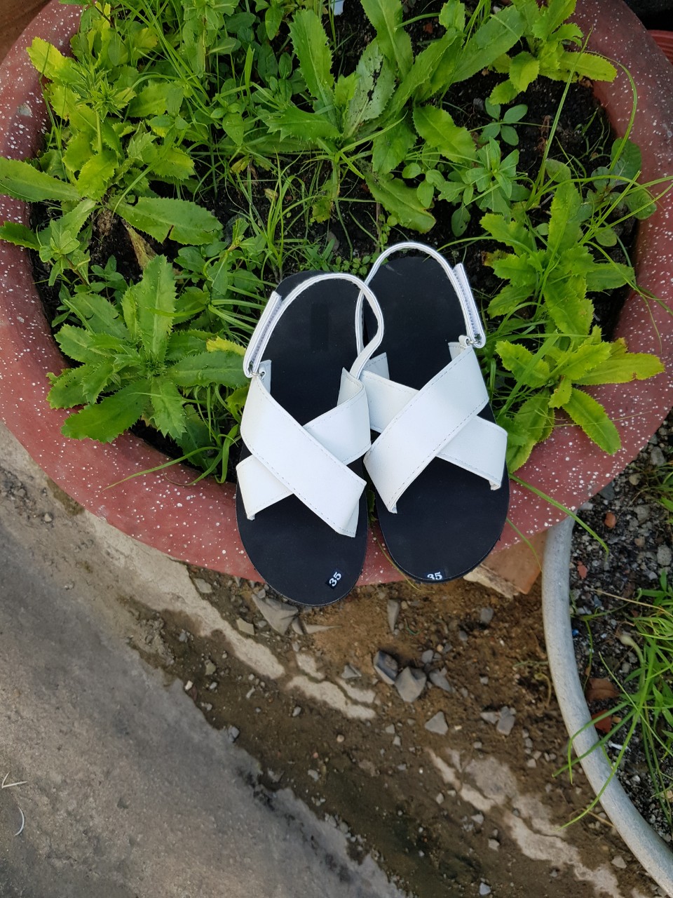 xăng đan nữ đế đen quai trắng đủ màu đủ size