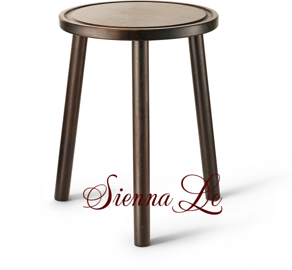 [Sienna Le] Kệ Giá Tròn Nhỏ Đỡ Chậu Hoa Đôn Gỗ - Phong Cách Mid-Century - Bàn Trà Bàn Coffee Màu Đen 40x30cm