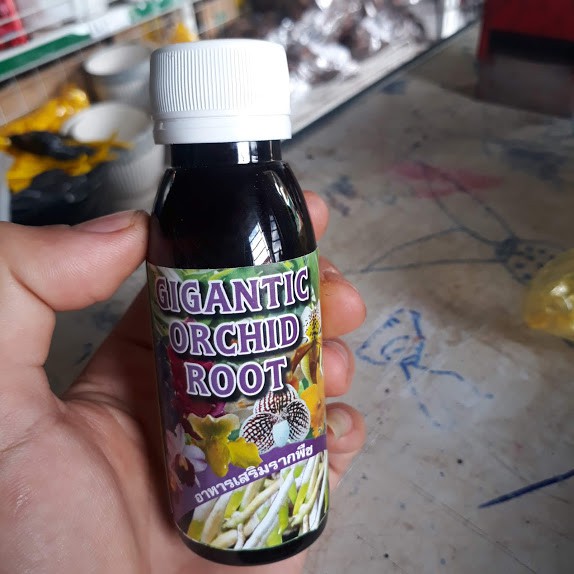 Kích rễ Gigantic Orchid Root THÁI LAN chai100ml ra rễ siêu mạnh