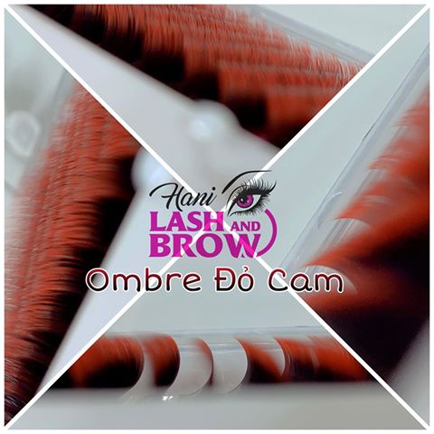 Lông Mi Màu Ombre - Hani Beauty