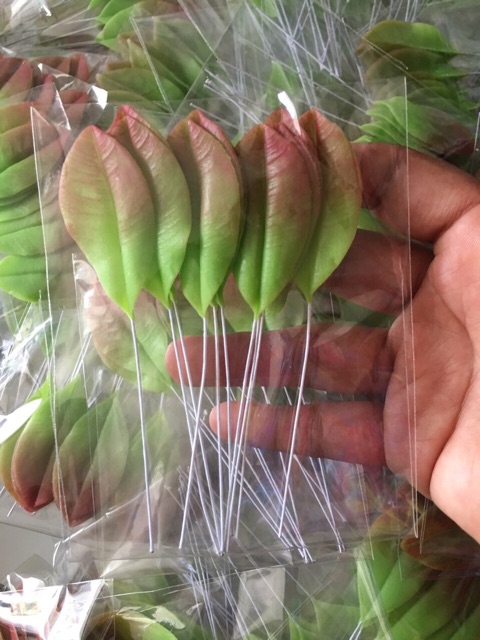 Clay Flower Leaves / Apricot Leaves / Clay Apricot Leaves 25K/10 Pieces