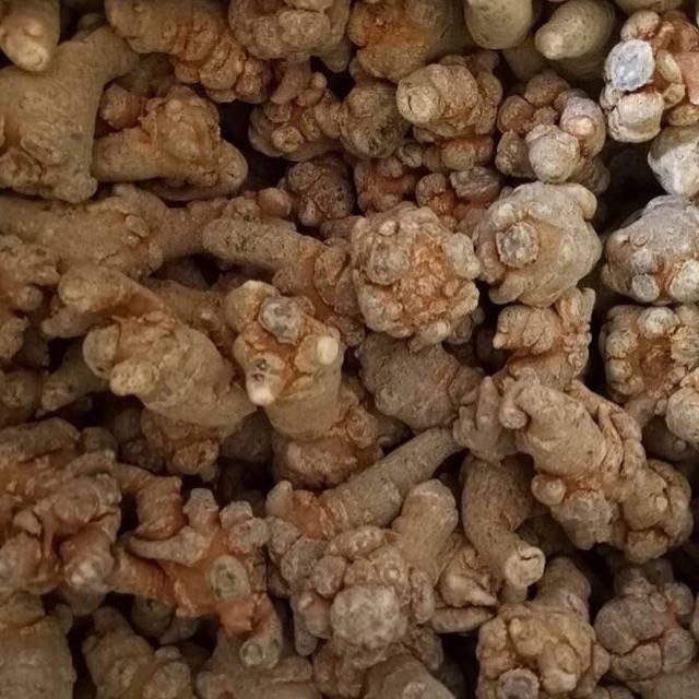 500g Củ Tam thất bắc loại 1