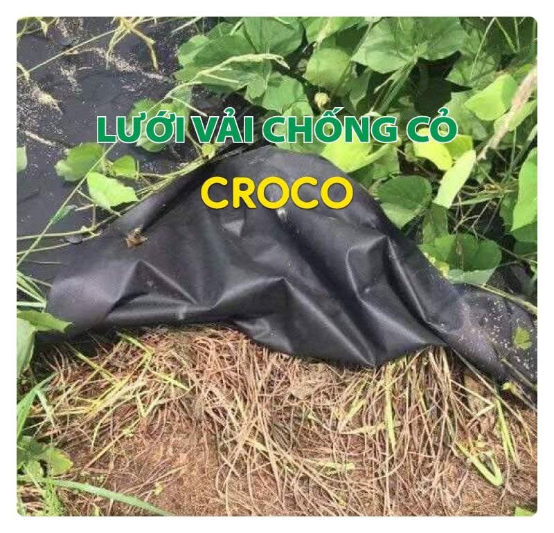 LƯỚI VẢI CHỐNG CỎ CROCO