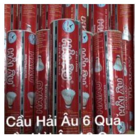 CẦU LÔNG HẢI ÂU CAO CẤP - HỘP 6 QUẢ
