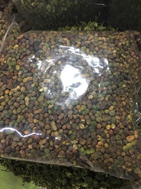 Quả Tam thất Bắc Sapa loại 1 500g