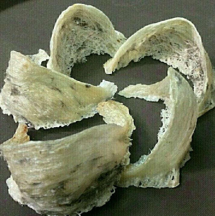 10 gram Tổ yến thô loại 2