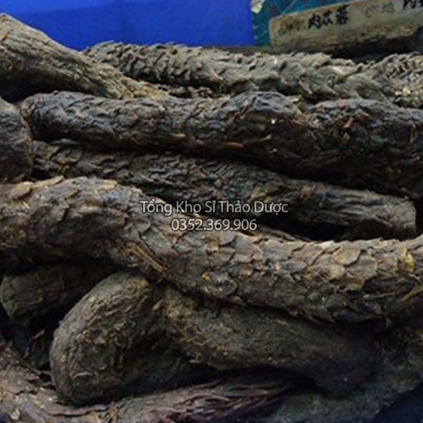 Nhục Thung Dung 1kg (Hàng Loại 1, To, Thơm)