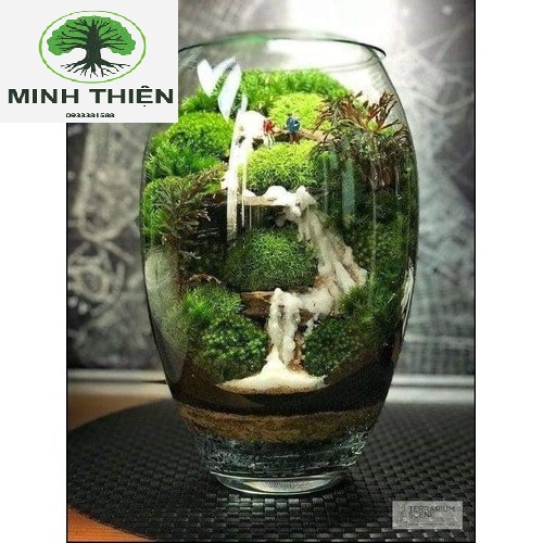 [HCM]Bình Bông Lọ Hoa Thủy Tinh Trang Trí Để Bàn - D3