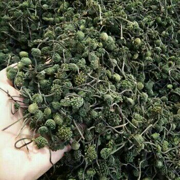 100g nụ tam thất