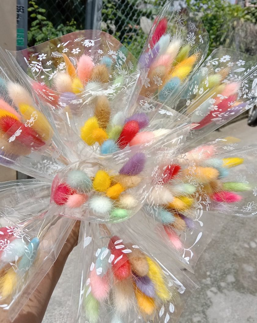 ( 10 bông ) cỏ đuôi thỏ mix nhiều màu hoa