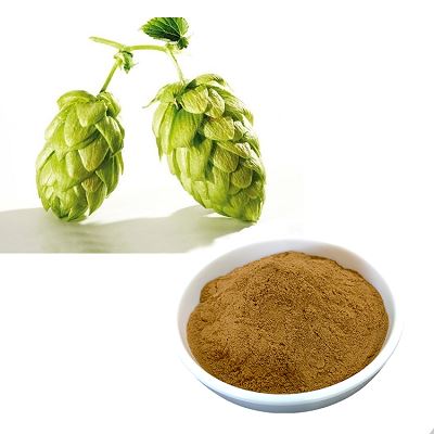 Gói 5 hạt giống hoa bia Hops