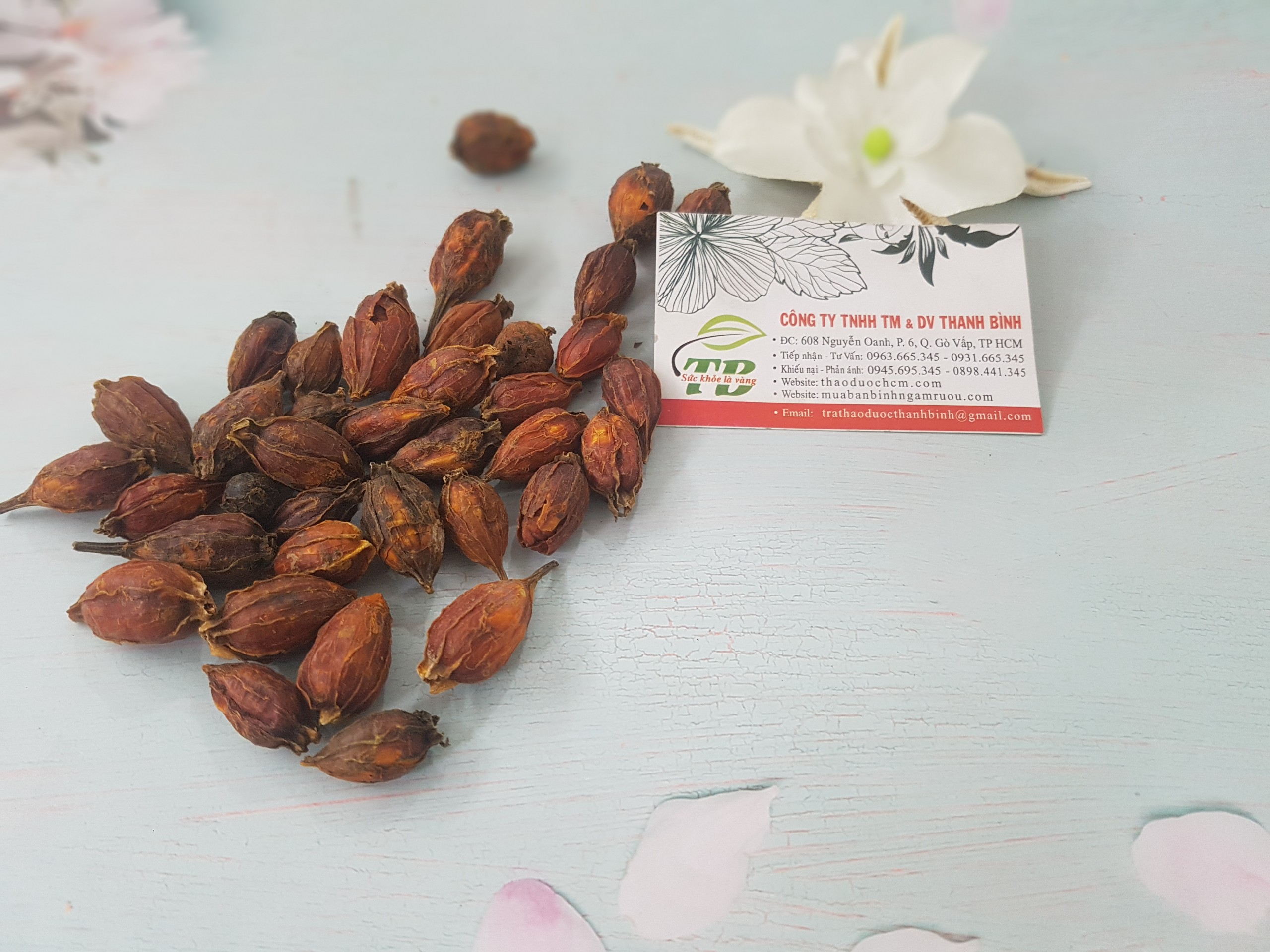 Quả Dành Dành ( Chi Tử ) Khô 1KG - Đông Y Thanh Bình