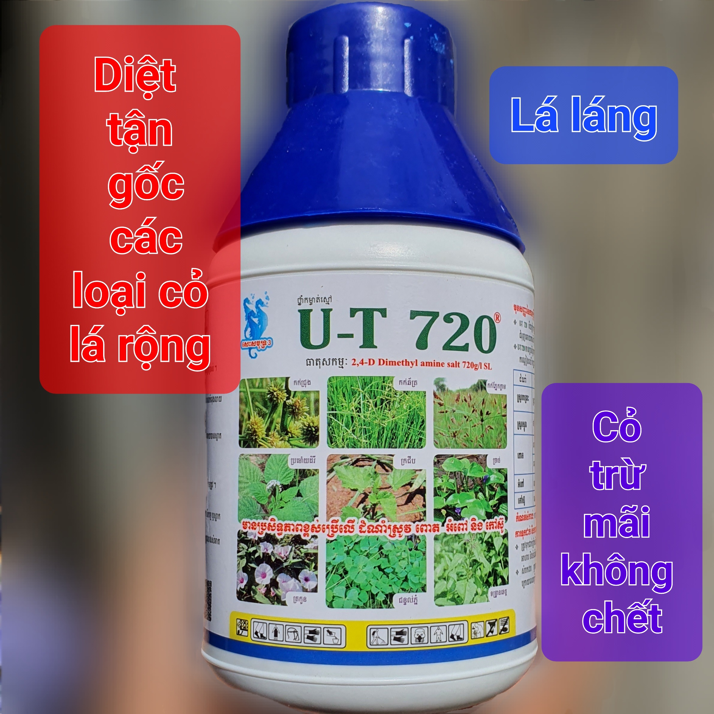 💎 thuốc trừ cỏ 2,4d 720sl u-t 📛 chuyên cỏ lúa, ngô