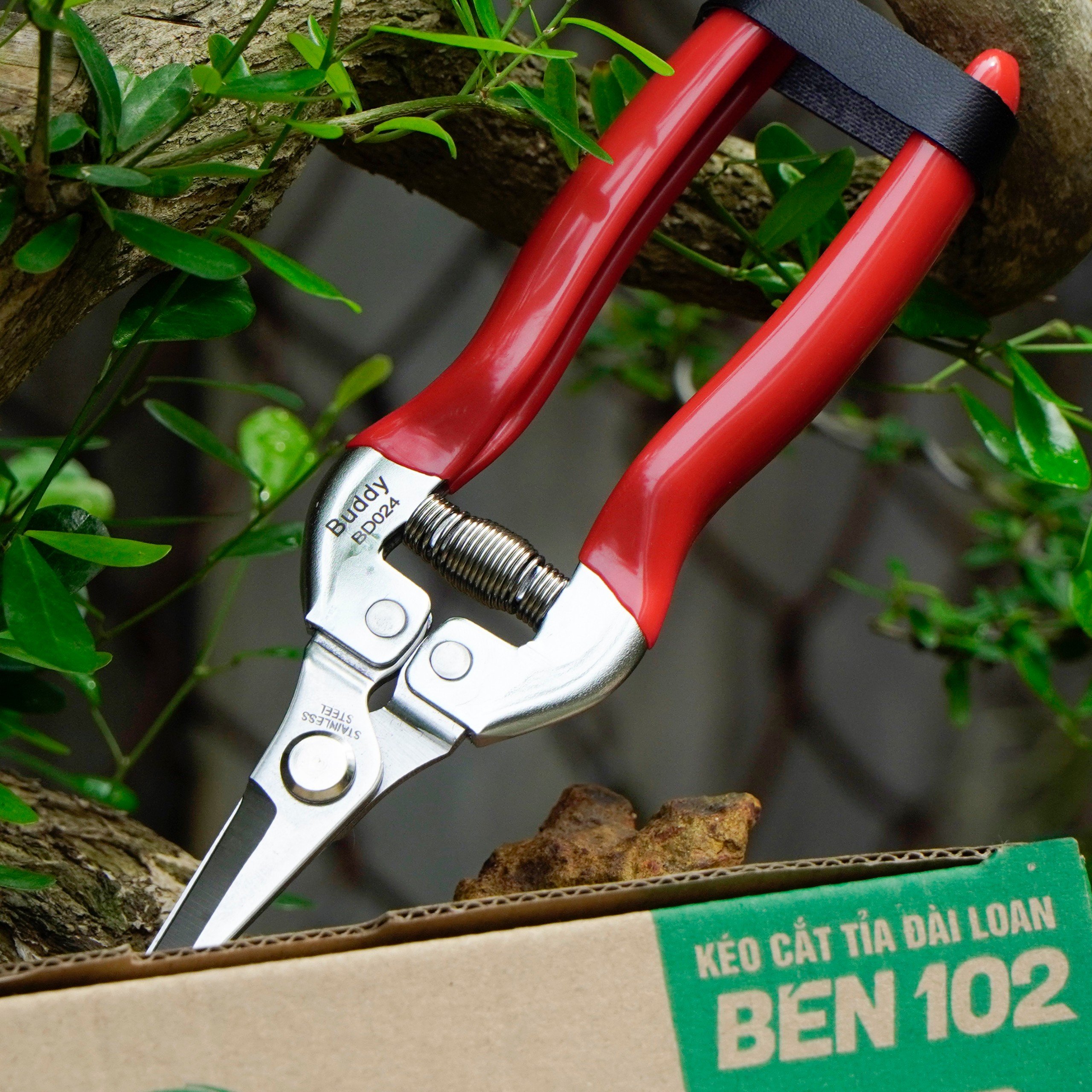 Kéo Cắt Tỉa Hoa Lan, Cây Cảnh BÉN 102