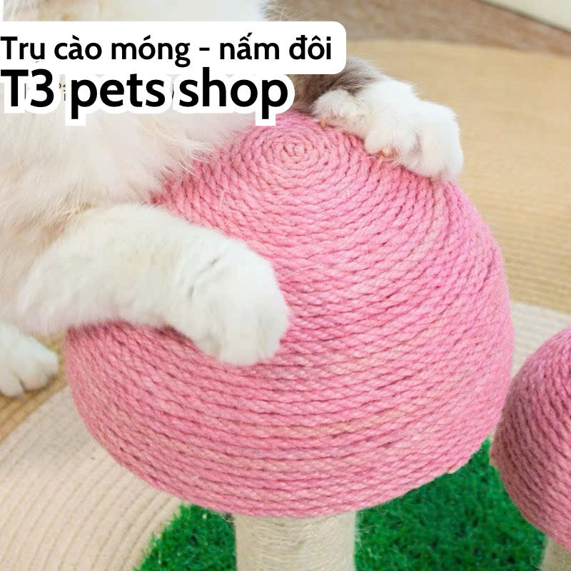 trụ mèo ( CAT TREE ) hình cây nấm dành cho bé iu - T3 PETS SHOP