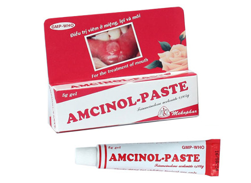 SẢN PHẨM AMCINOL - PASTE GEL 5G.