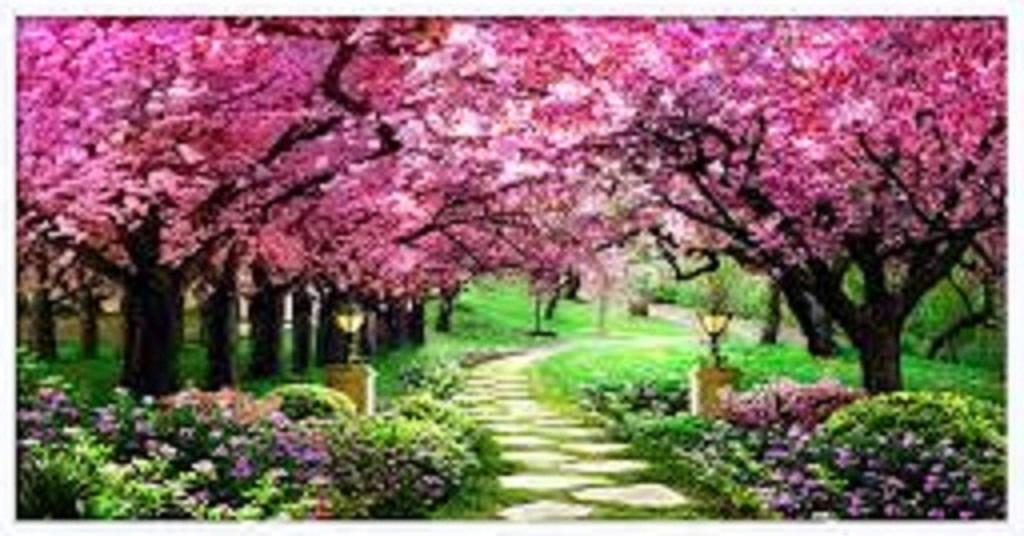 [HCM]tranh thêu chữ thập Con đường tình yêu - LV3005