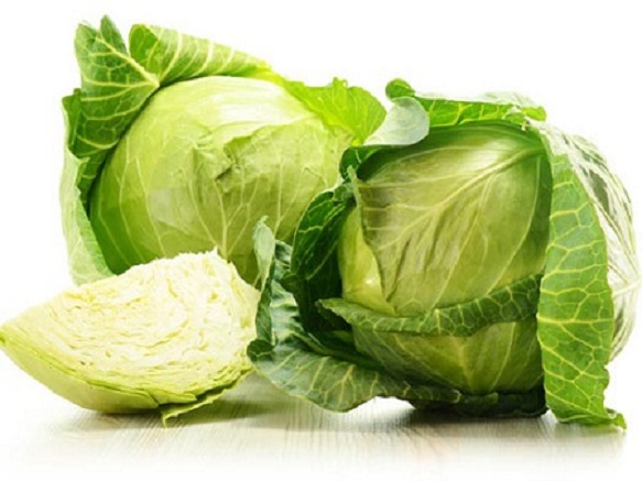 Hạt giống bắp cải chịu nhiệt