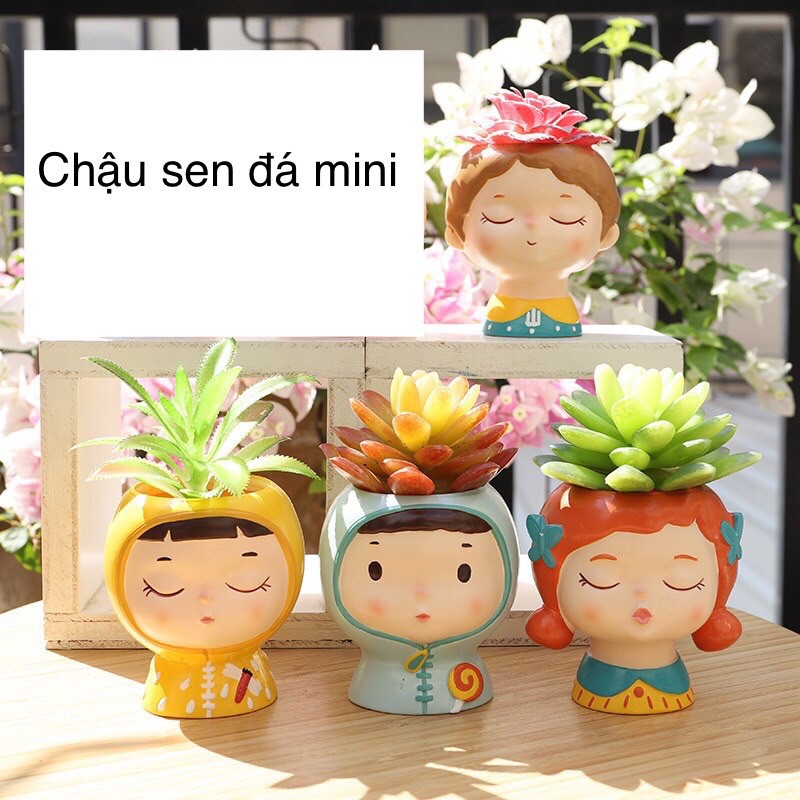Chậu sen đá siêu kute
