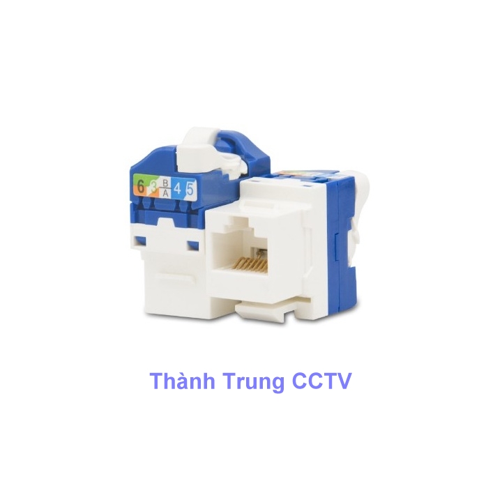 Nhân mạng âm tường Cat6 LTE