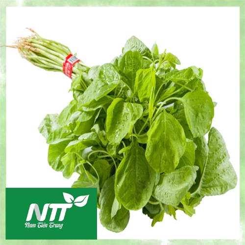 Hạt giống rau Dền Thuận Nông TN 20g >90% quanh năm chất lượng cao