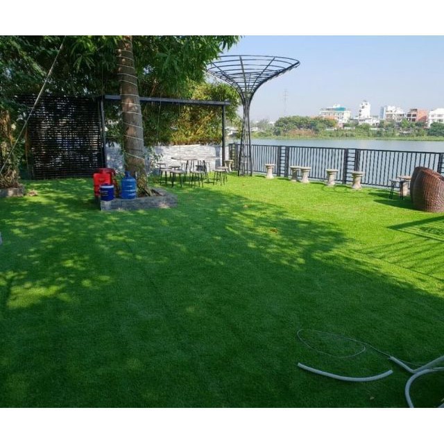 MJ10C GÓI 100 HẠT GIỐNG CỎ NHUNG NHẬT