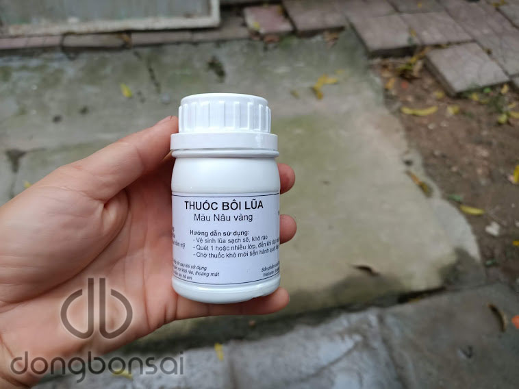 Combo 5 Chai dung dịch bôi lũa bonsai 150ml