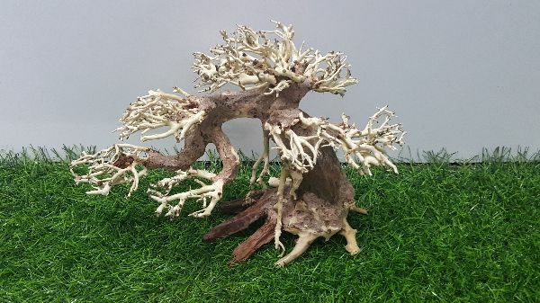 [HCM]Lũa bonsai cấy rêu ( dài23- cao16cm)