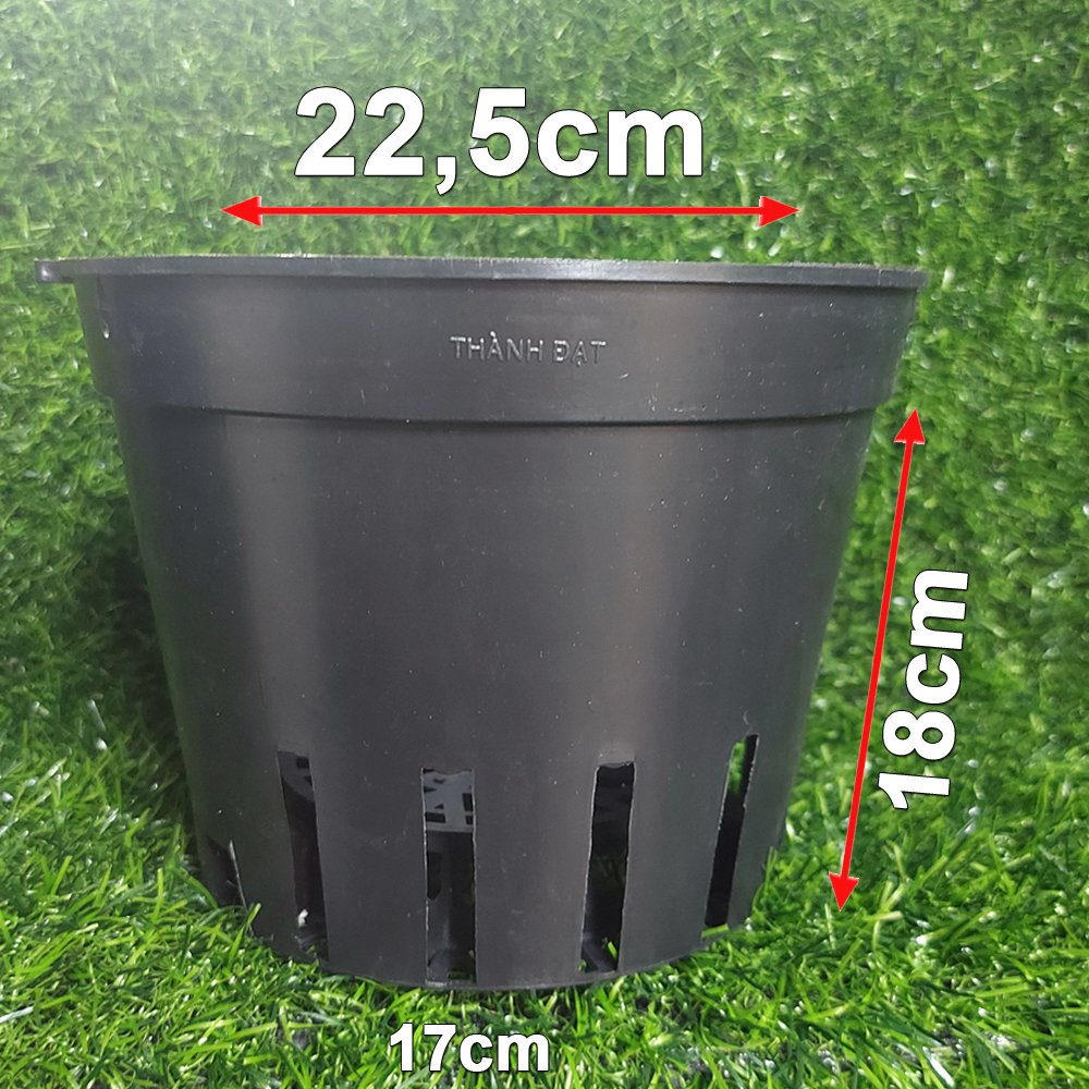 Chậu nhựa đen trồng lan phi 23 bền, dẻo, có khe treo chậu-77322