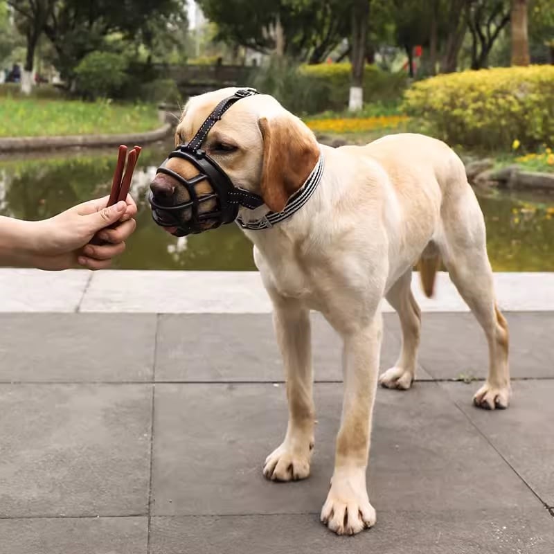 rọ mõm cao cấp dành cho chó - T3 PETS SHOP