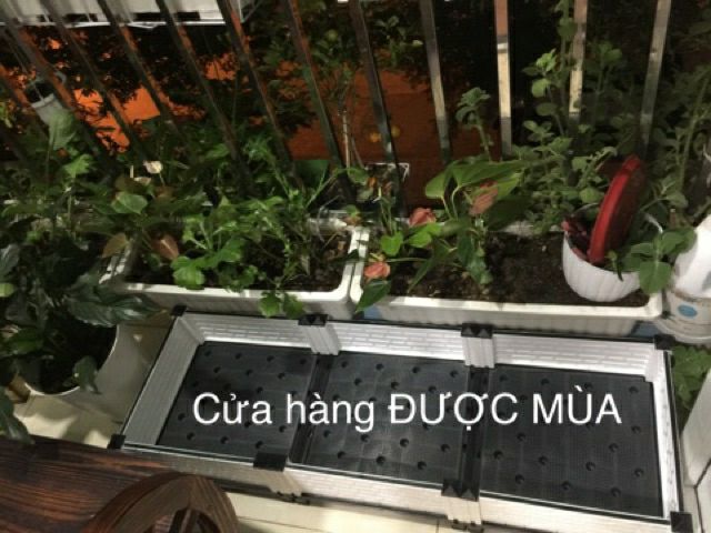 chậu lắp ghép trồng rau thông minh 1m2x40cmx20cm