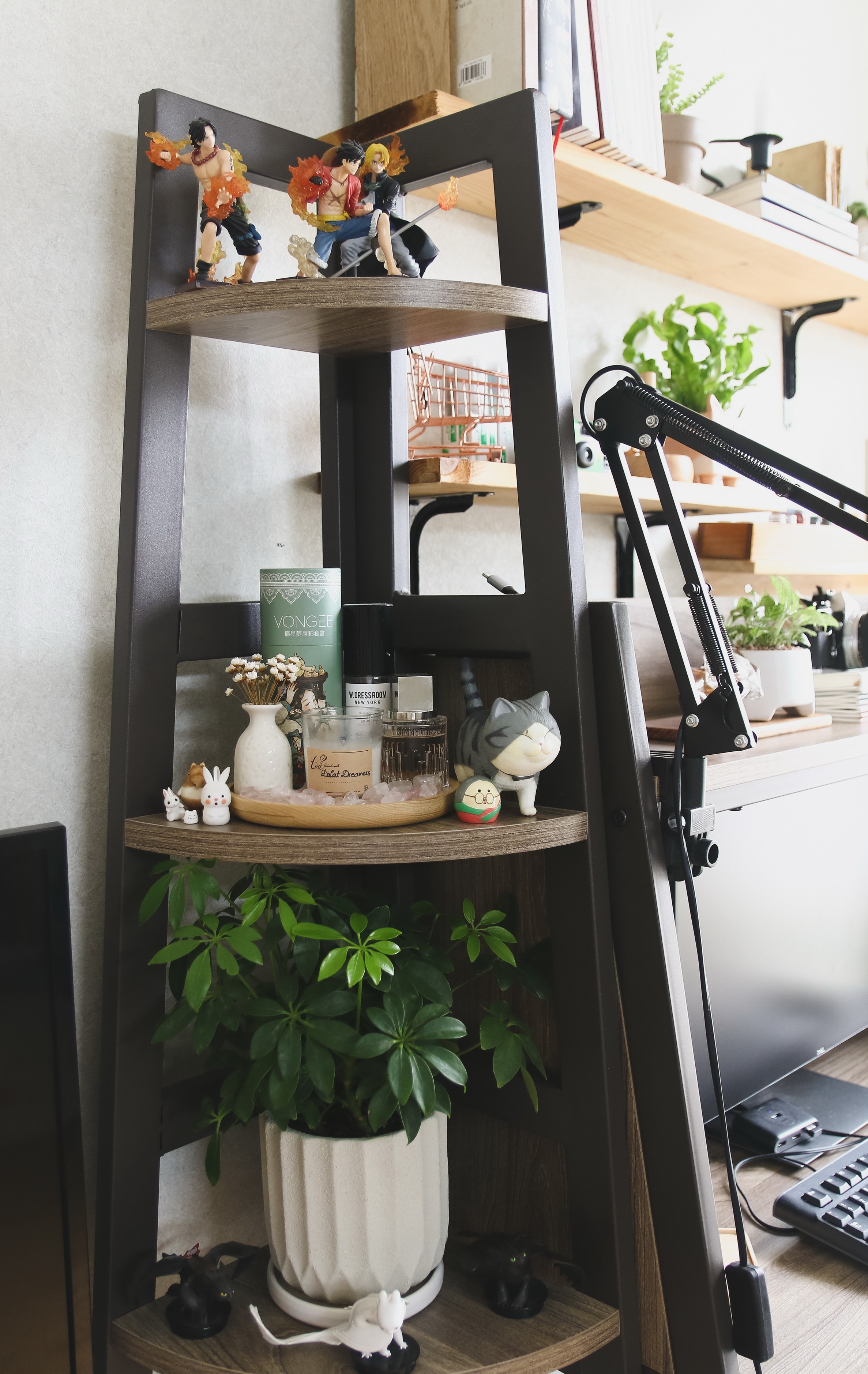 Kệ góc - Kệ sách đứng Mipu SIENG - Màu Grey Walnut