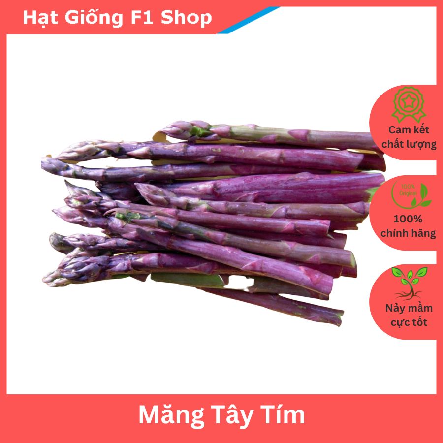 Hạt Giống Măng Tây Tím Ăn Ngon