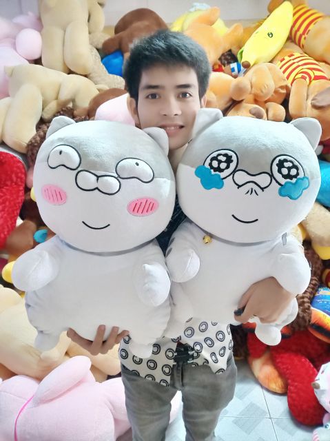 GẤU BÔNG MÈO AMY
