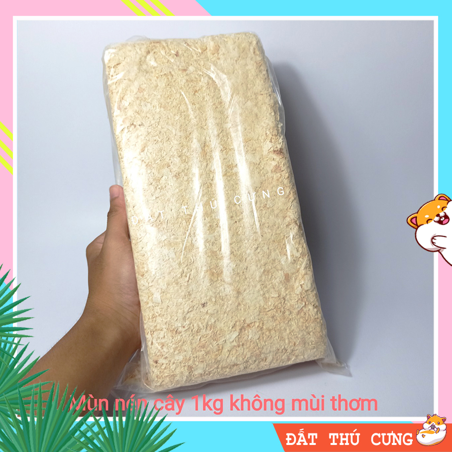 Combo vật dụng nuôi Hamster số 4