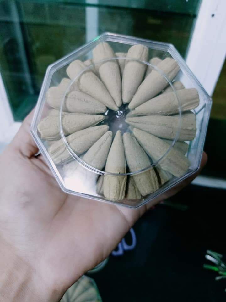 nụ trầm hương